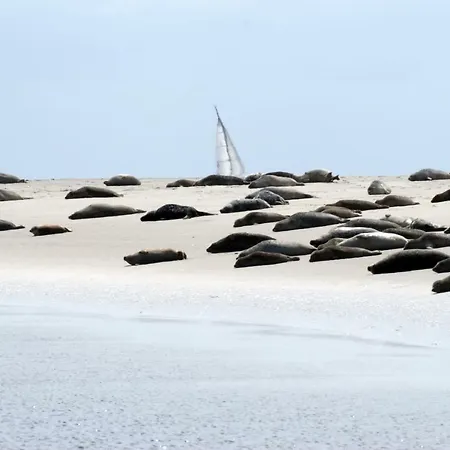 Borkumunterkunft - Woh7 - Im Herzen Der Insel *